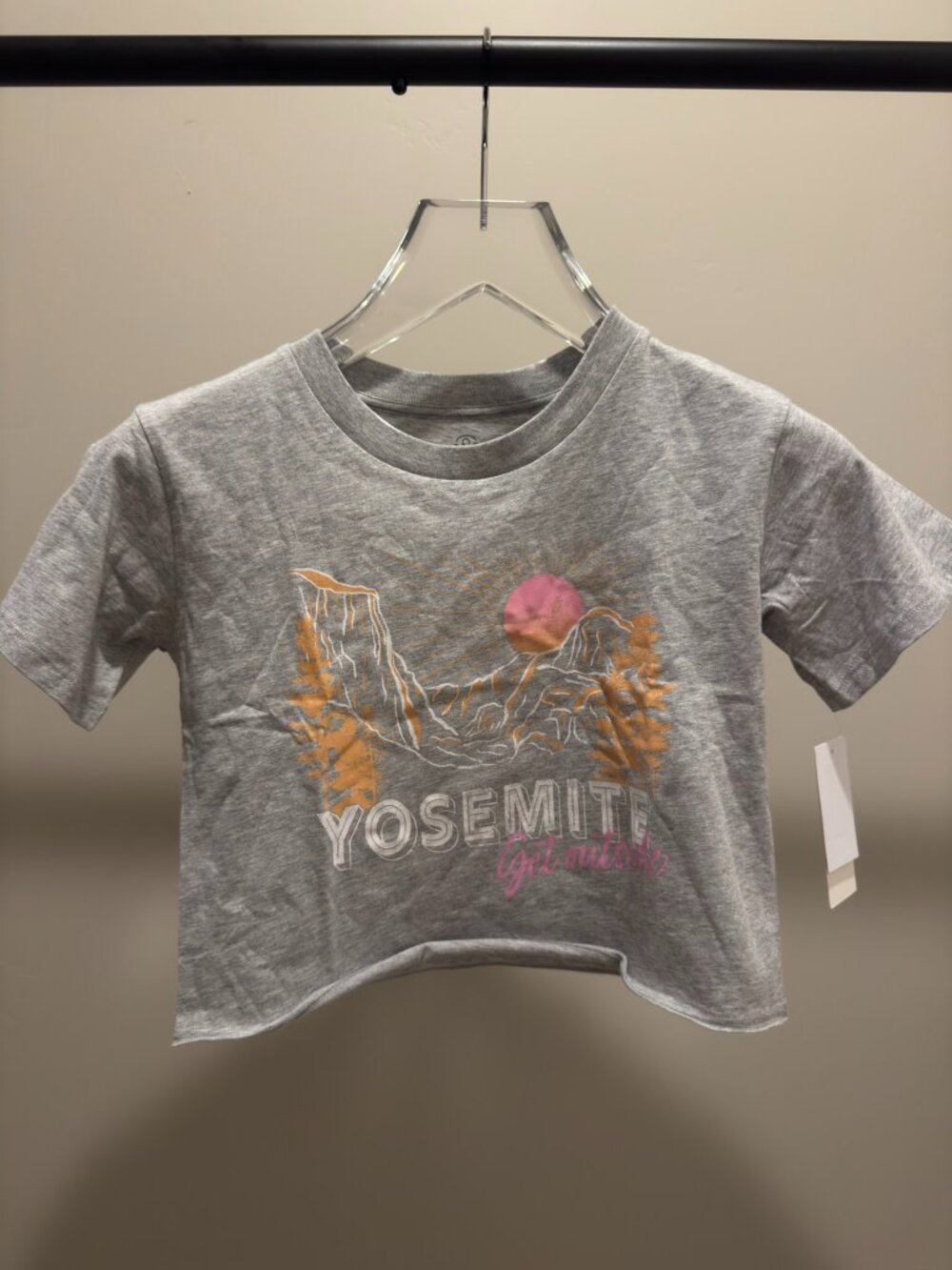 Treasure & Bond Yosemite Graphic Crop T-Shirt Gray Size S NWT